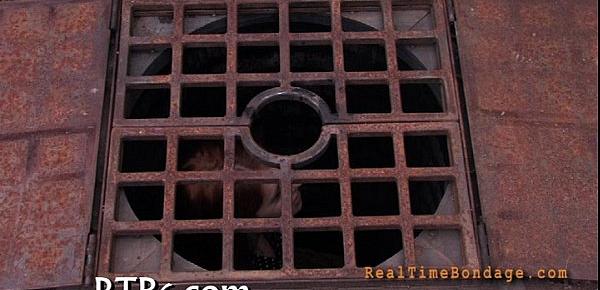 Four beauties inside tiny cage